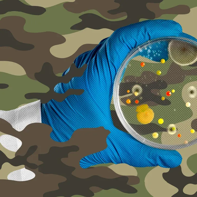 Could a Conflict-Borne Superbug 1.jpg