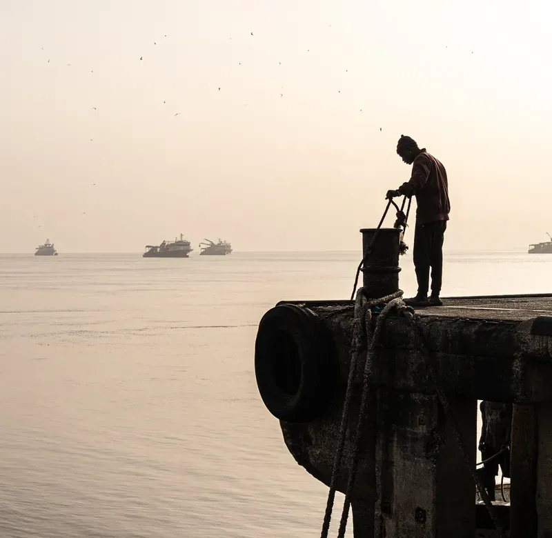 Octopus project page