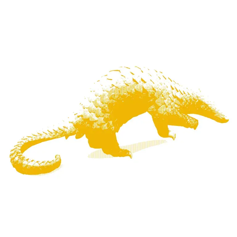 rainforest reporting grants